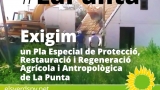 Torna la lluita de La Punta de l’Horta de València